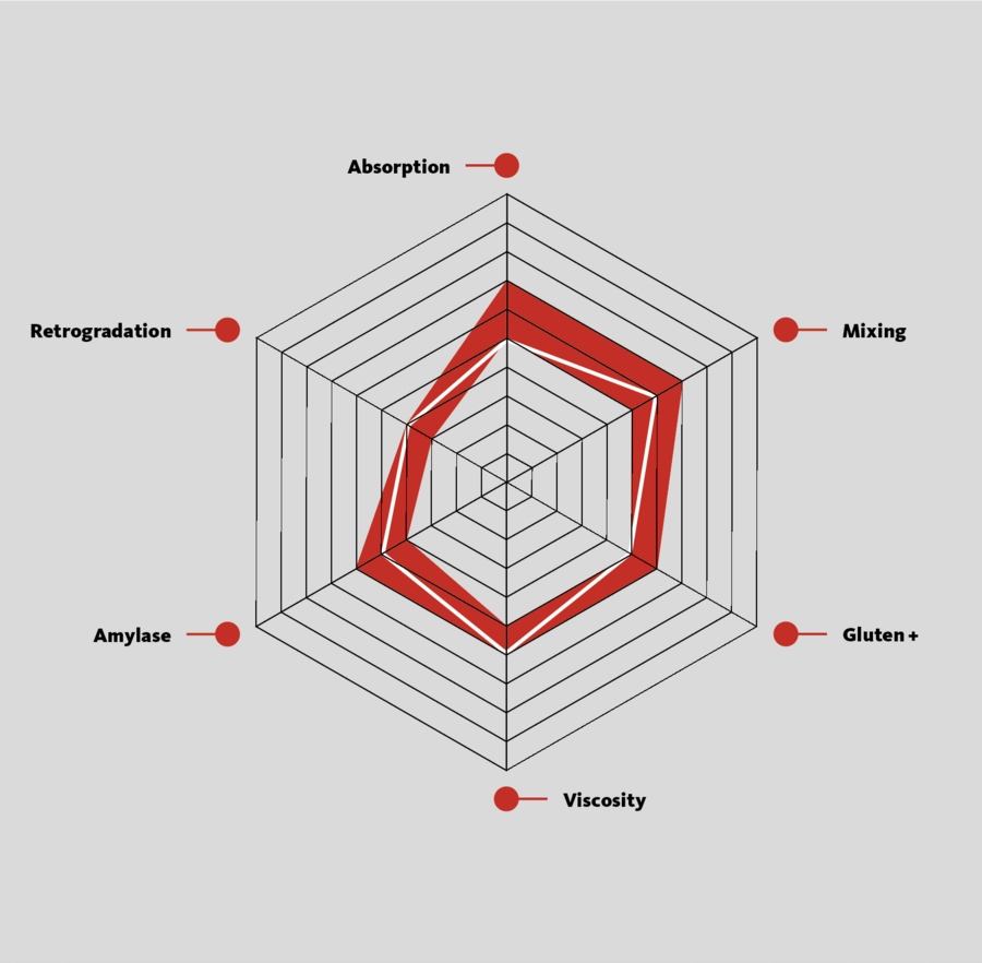 Abbildung 3: Spiderweb mit hinterlegtem Zielprofil (rot) – Quelle: KPM Analytics